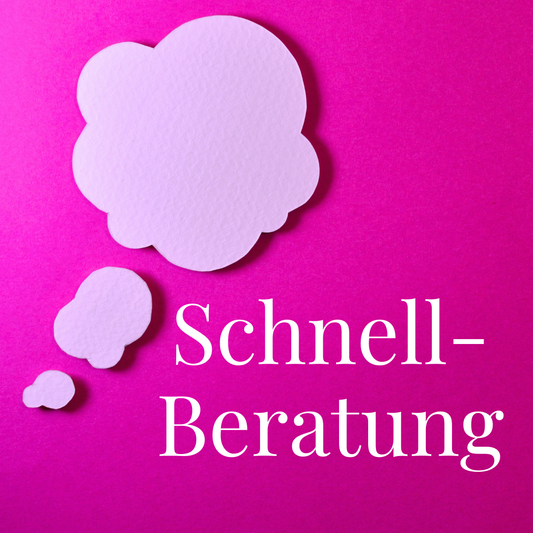 Schnellberatung (45 Min)